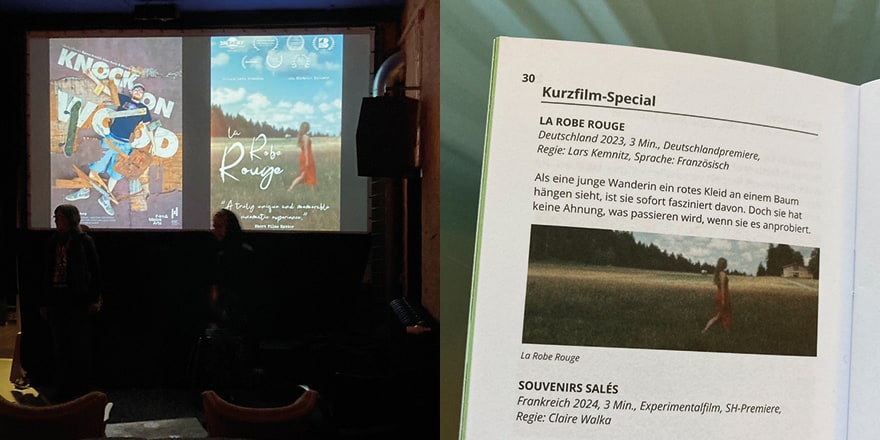 29th Filmfest Schleswig-Holstein, Germany