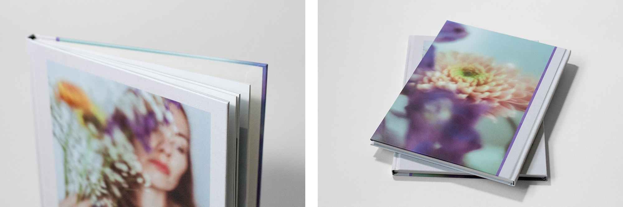 Petals Dancing in the Light Book