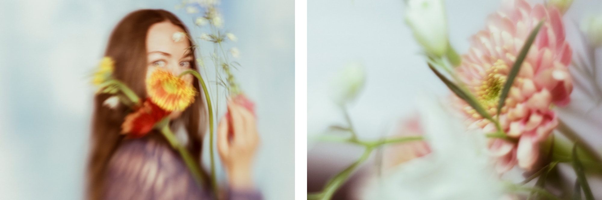 Petals Dancing in the Light Book