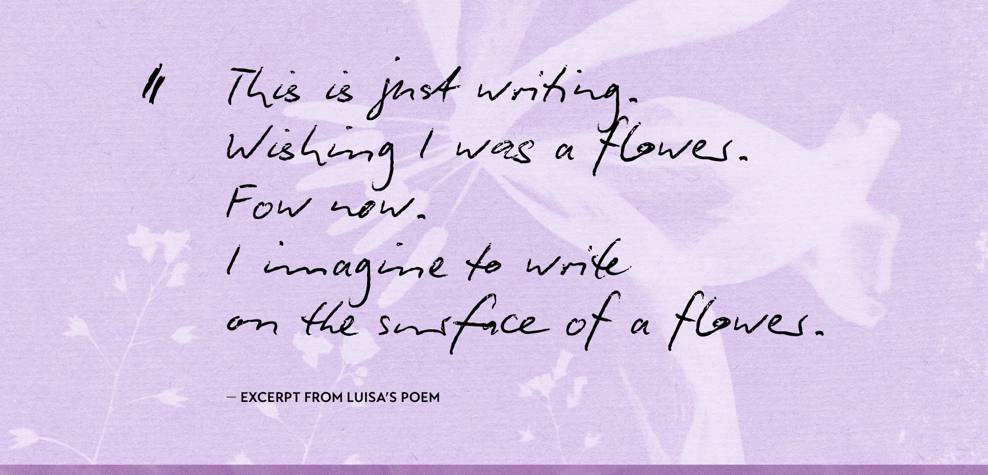 Petals Dancing in the Light Book