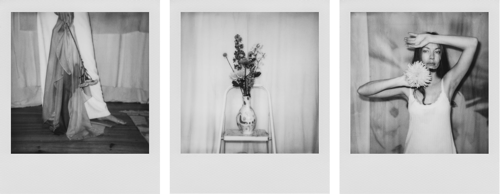 Petals Dancing in the Light Book