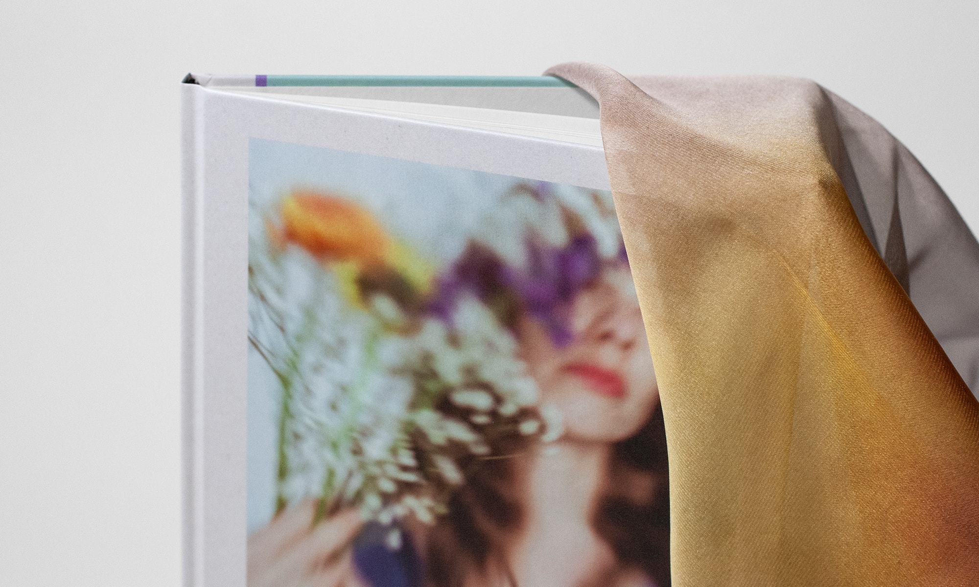 Petals Dancing in the Light Book