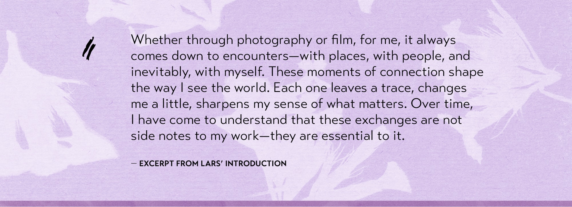 Petals Dancing in the Light Book