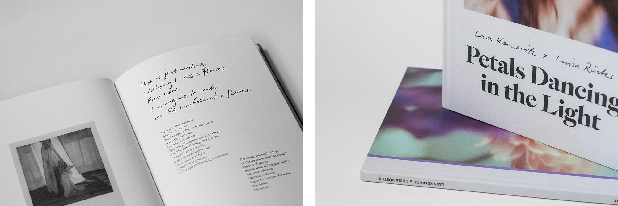 Petals Dancing in the Light Book