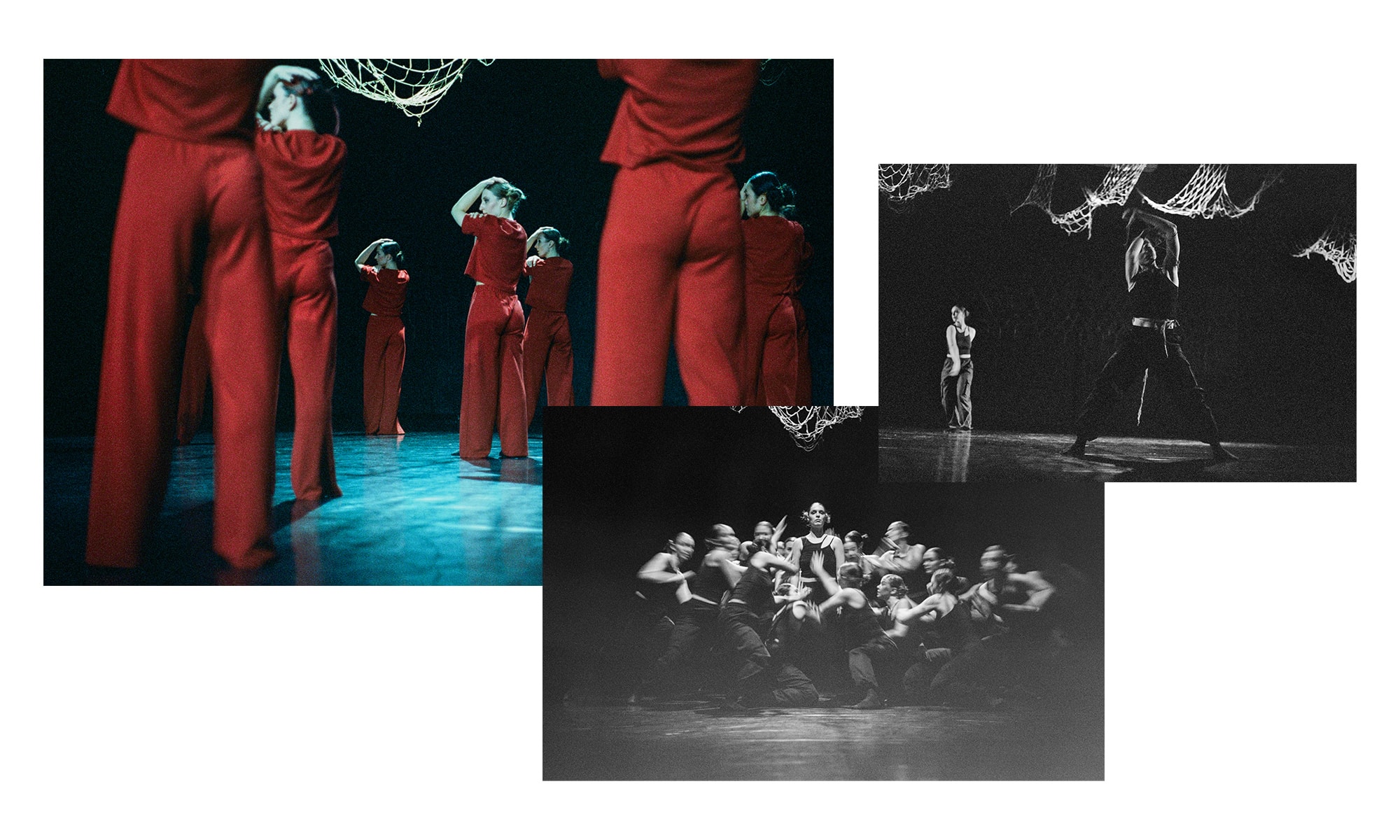 Unfolding Shapes: In Vivo